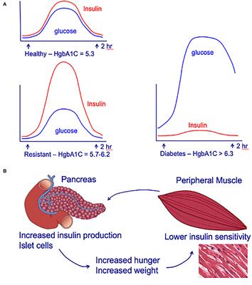 Metformin and Chemoprevention: Potential for Heart-Healthy Targeting of Biologically Aggressive Breast Cancer